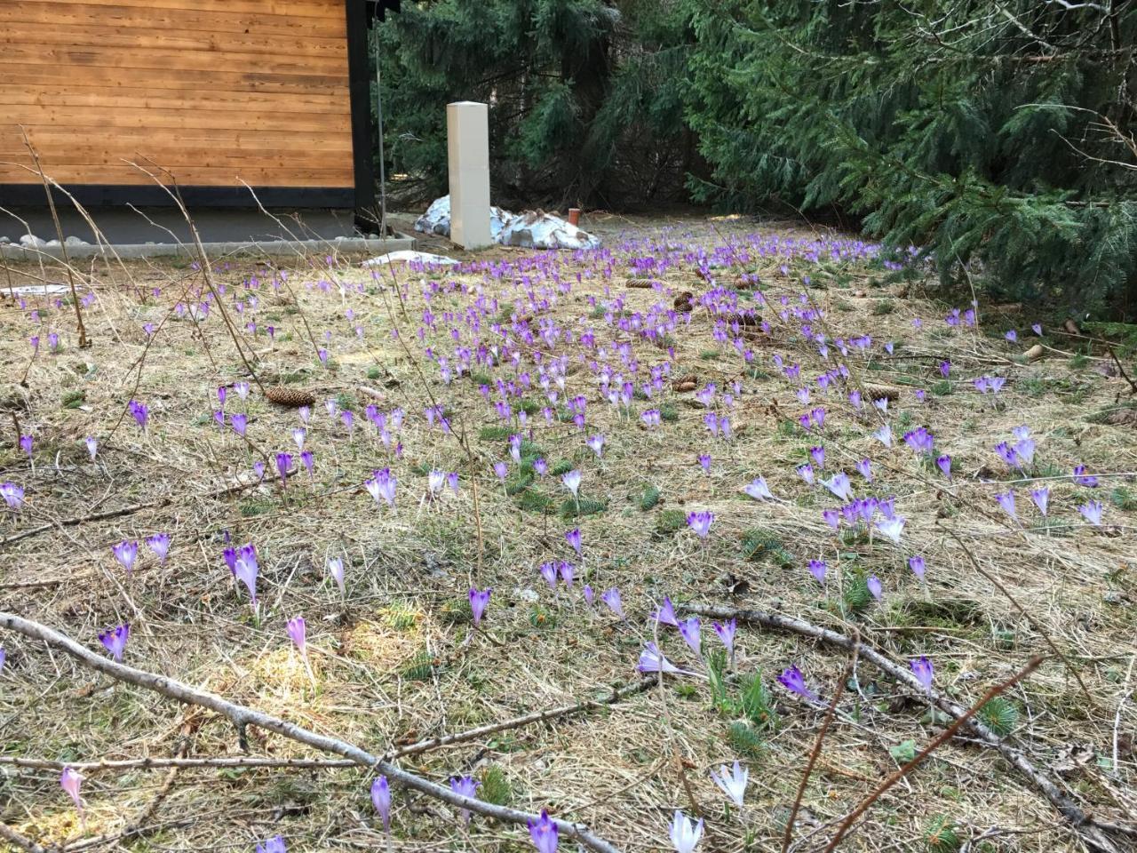 פריבילינה Chalet Rackova Dolina מראה חיצוני תמונה
