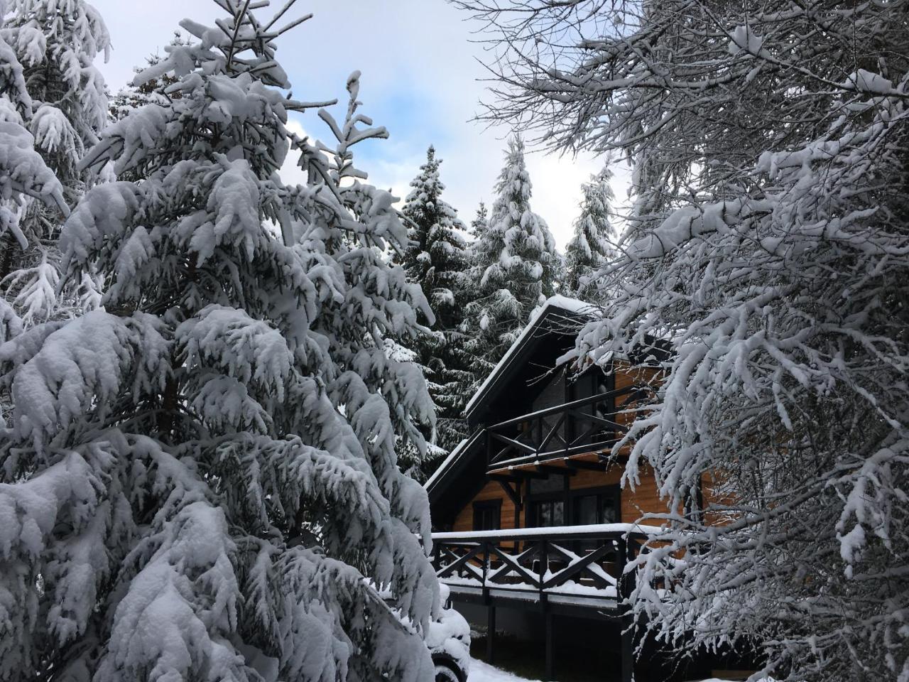 פריבילינה Chalet Rackova Dolina מראה חיצוני תמונה